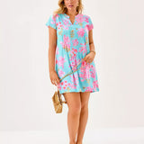 Ansella Tunic Dress