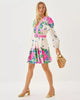 Chyanna V - Neck DressWomens - DressesLILLY PULITZERThe Printed Peach Savannah