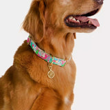 Dog CollarAccessories - Pet AccessoriesLILLY PULITZERThe Printed Peach Savannah