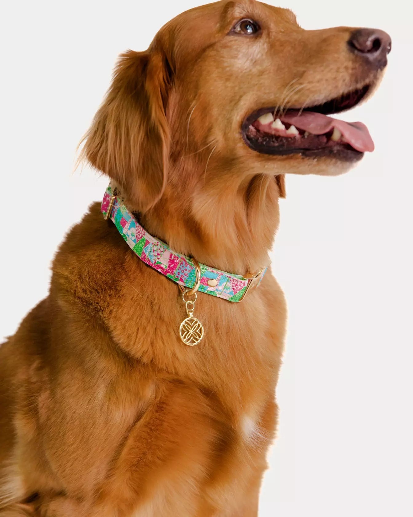 Dog CollarAccessories - Pet AccessoriesLILLY PULITZERThe Printed Peach Savannah