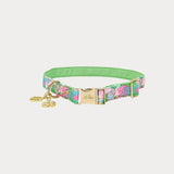 Dog CollarAccessories - Pet AccessoriesLILLY PULITZERThe Printed Peach Savannah