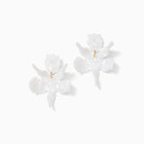 LILLY x LELE Exclusive Earrings