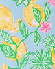 Jesper Rashguard SwimsuitHeartland Retail ItemsLILLY PULITZERThe Printed Peach Savannah