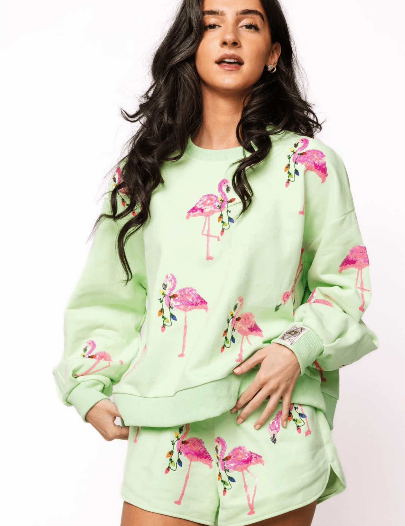 Mint Flamingo Wearing Christmas Light Sweathshit & Short SetWomens - Matching SetQueen of SparklesThe Printed Peach Savannah