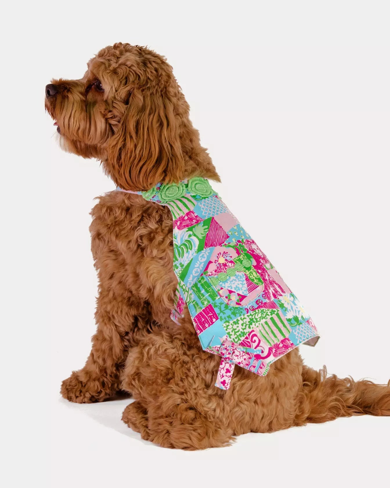 Pet DressAccessories - Pet AccessoriesLILLY PULITZERThe Printed Peach Savannah