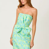 Tiernan Maxi DressLILLY PULITZERThe Printed Peach Savannah