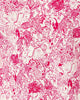 UPF 50+ Skipper PopoverHeartland Retail ItemsLILLY PULITZERThe Printed Peach Savannah